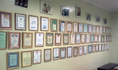 �����������